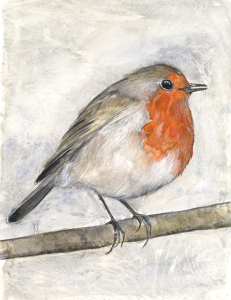 2023-11-04-Robin-01-SHARPEN-250px