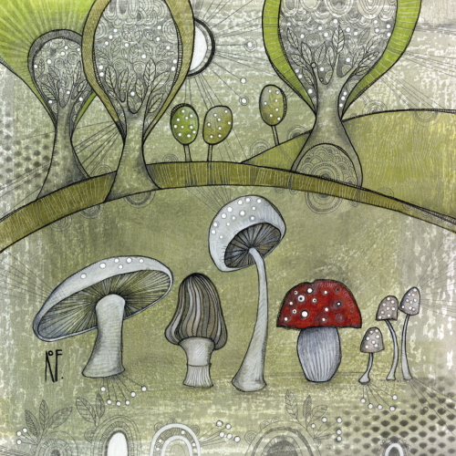 Woodland Mushrooms