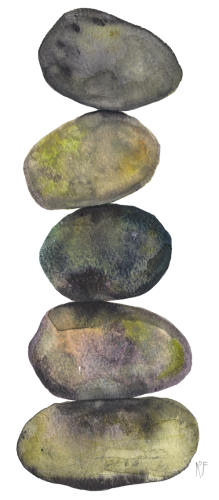 5 Other Rocks